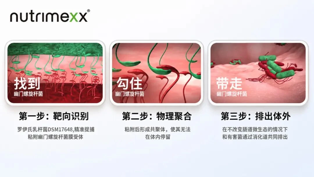科学与品质